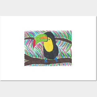 Colorful Tropical Toucan Posters and Art